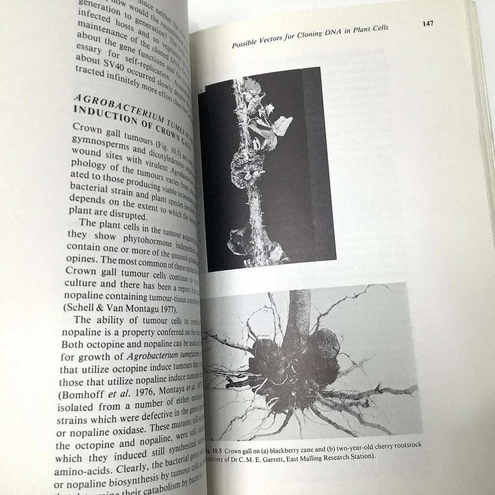 Principles of‎ Gene Manipulation An introduction to Genetic Engineering Primrose